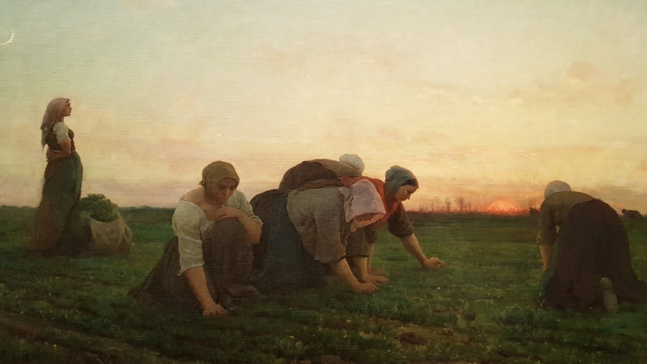 f_c2gUd018svcuvegbxc5rjgb_bnmutt (1).jpg