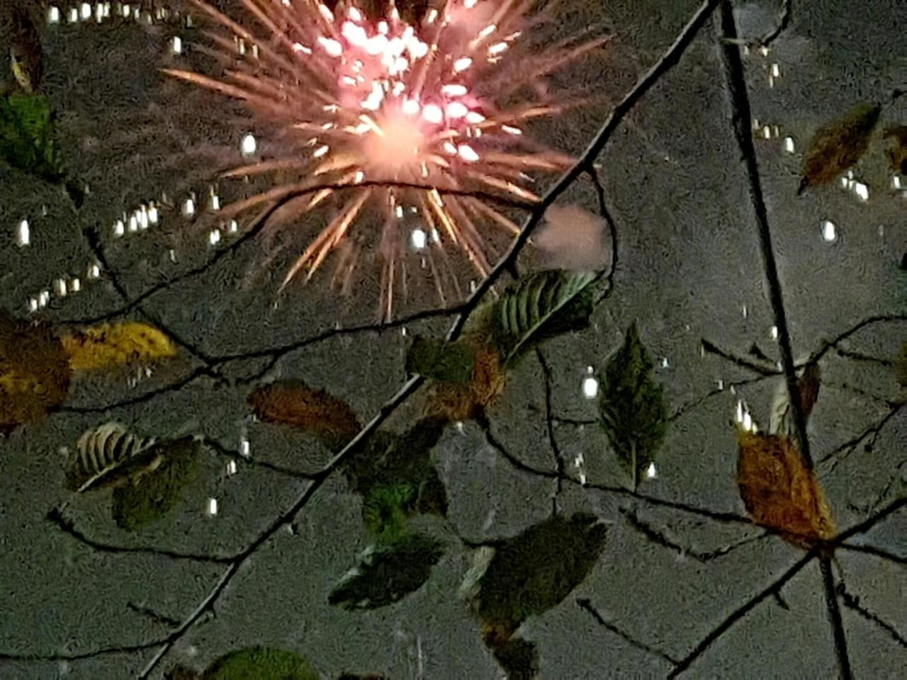 다운로드 (19).jpg