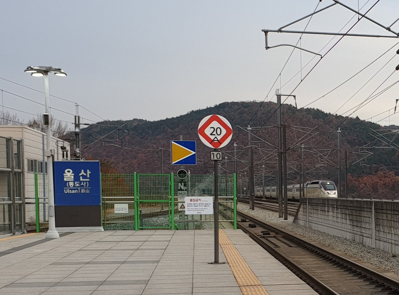 20191125_074042 (2).jpg