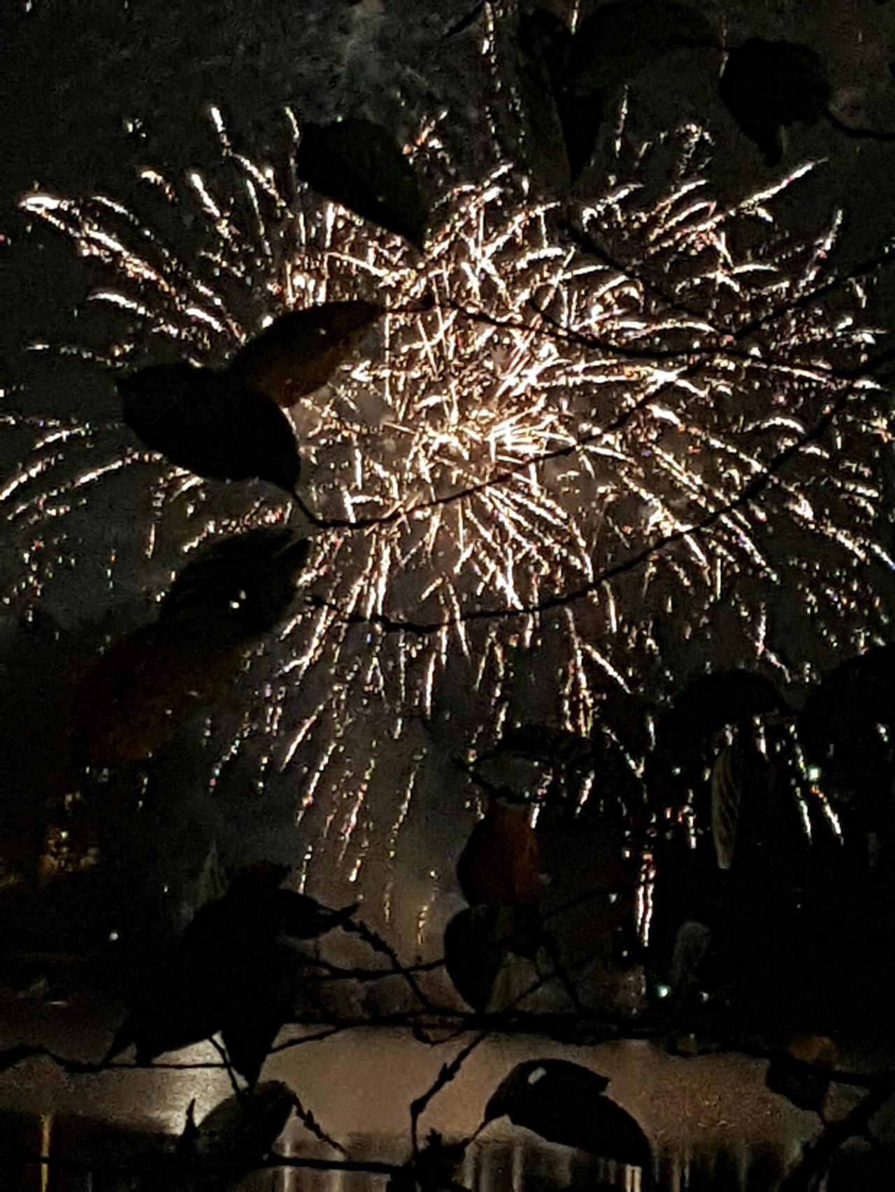 다운로드 (5).jpg