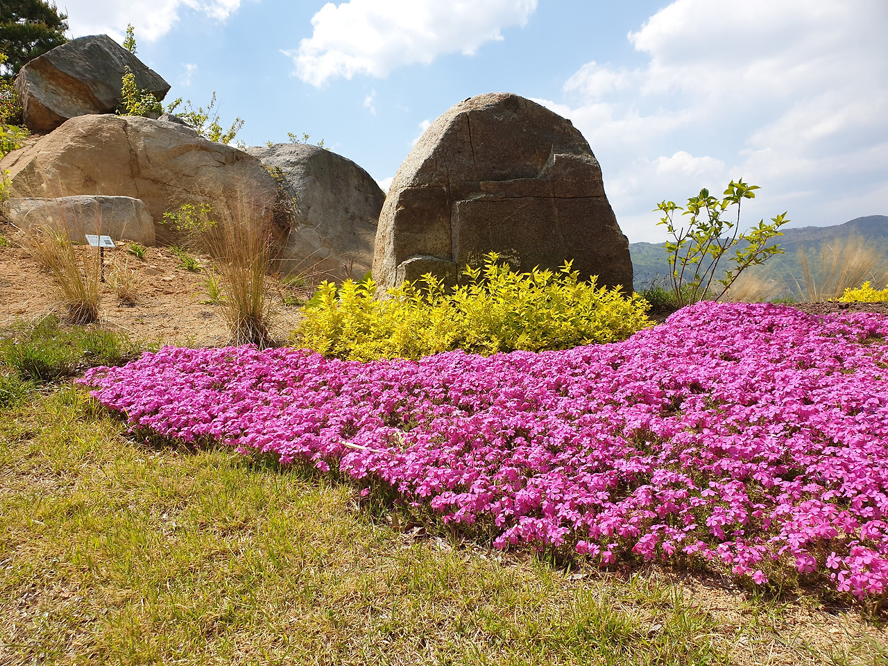 20200427_130906 (3).jpg