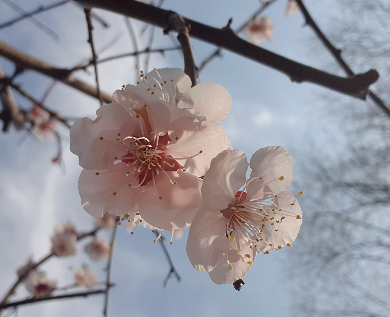 20200306_160238 (2).jpg