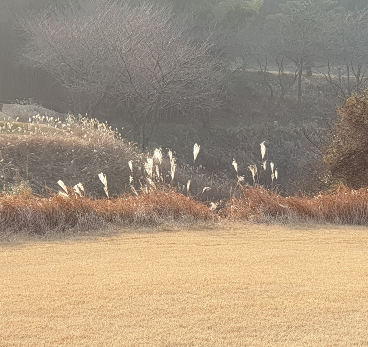 20191223_153952 (2).jpg