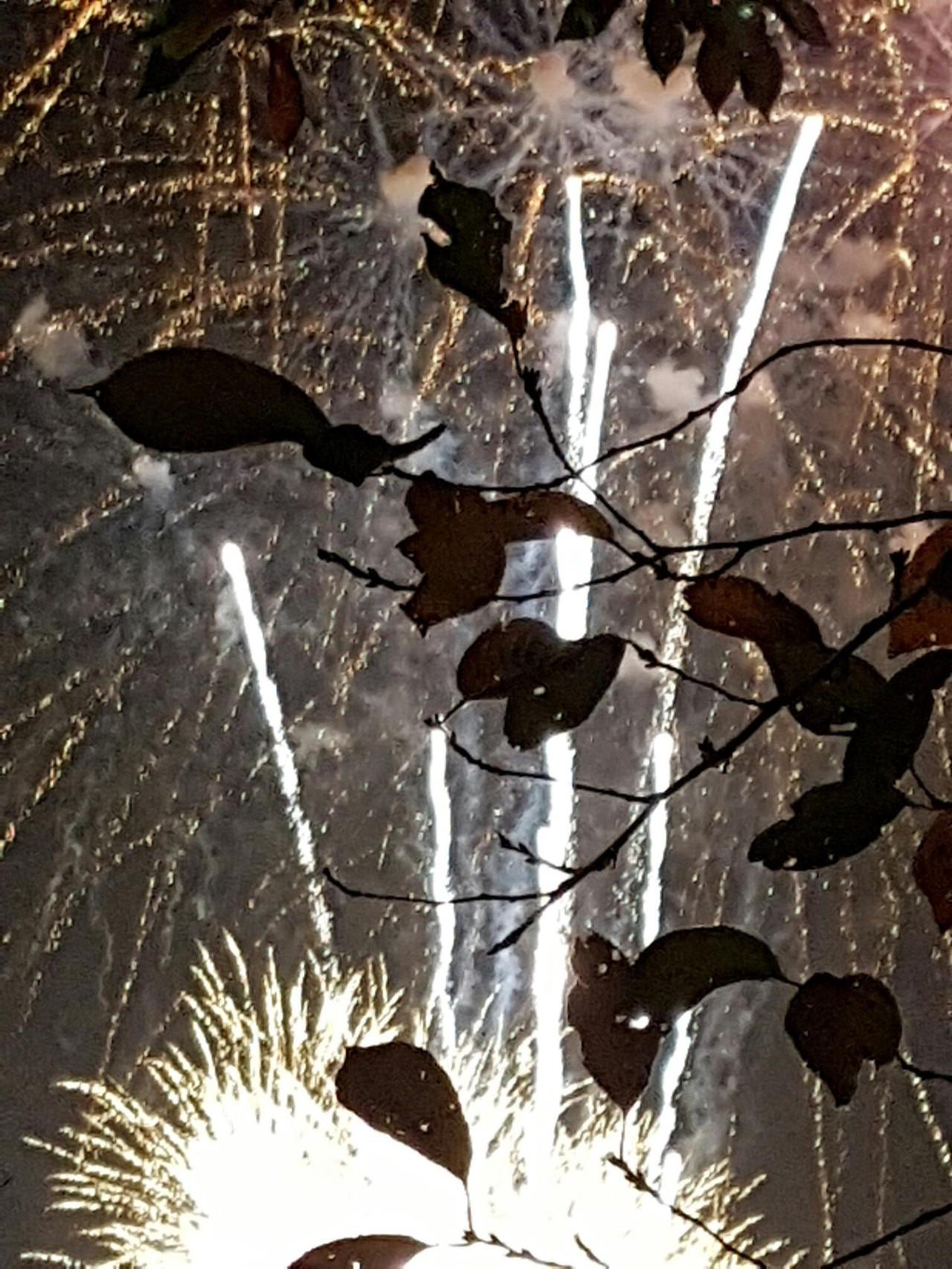 다운로드 (11).jpg