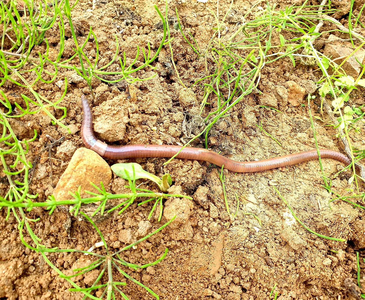 20200516_192301 (2).jpg