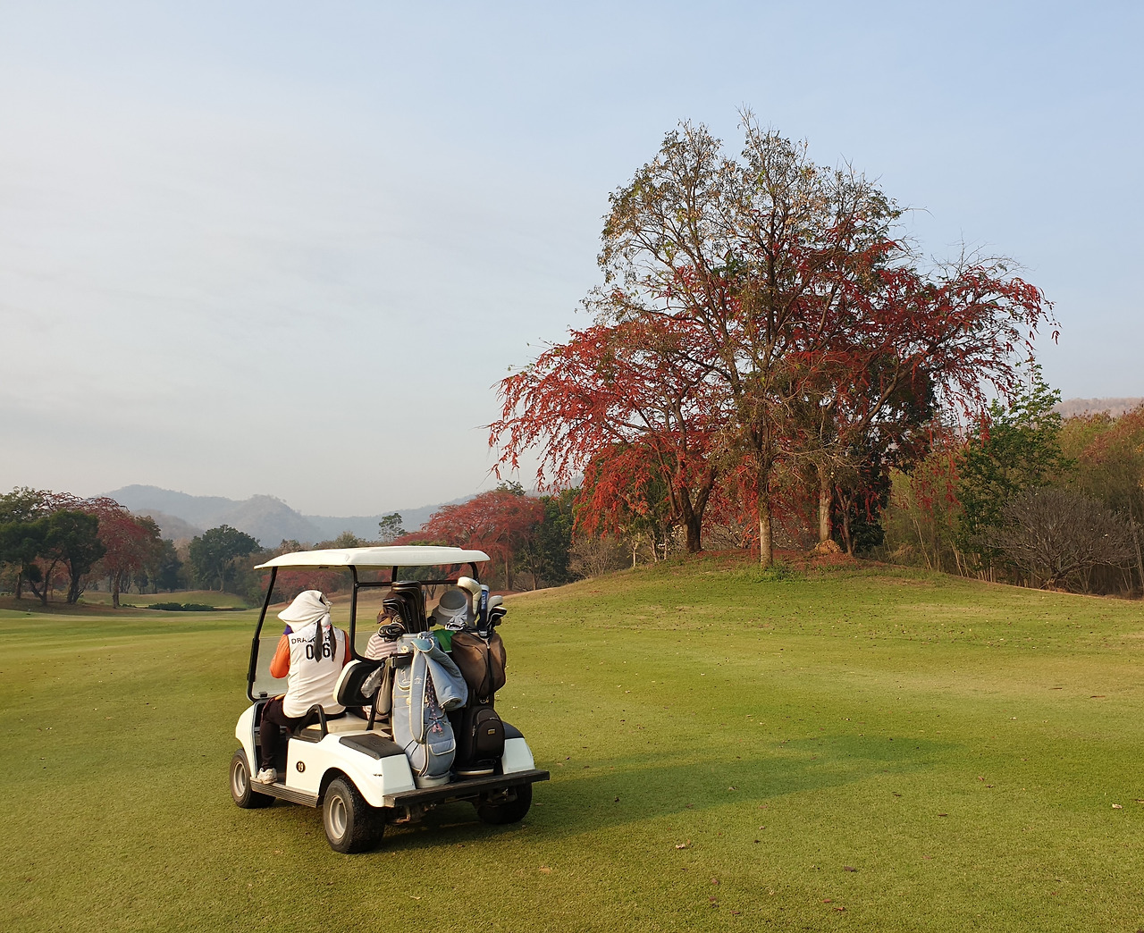 20200131_081431 (2).jpg