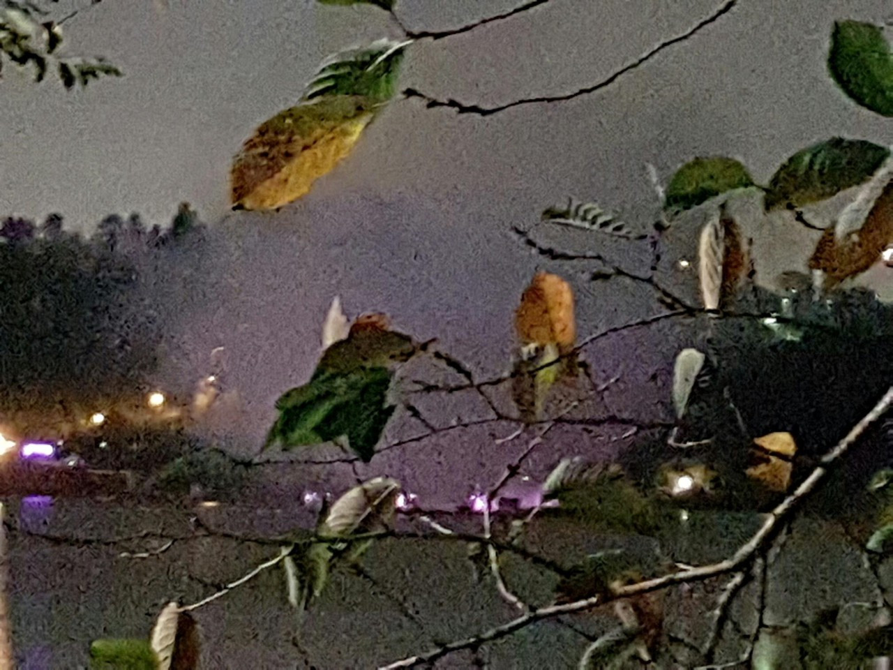 다운로드 (9).jpg