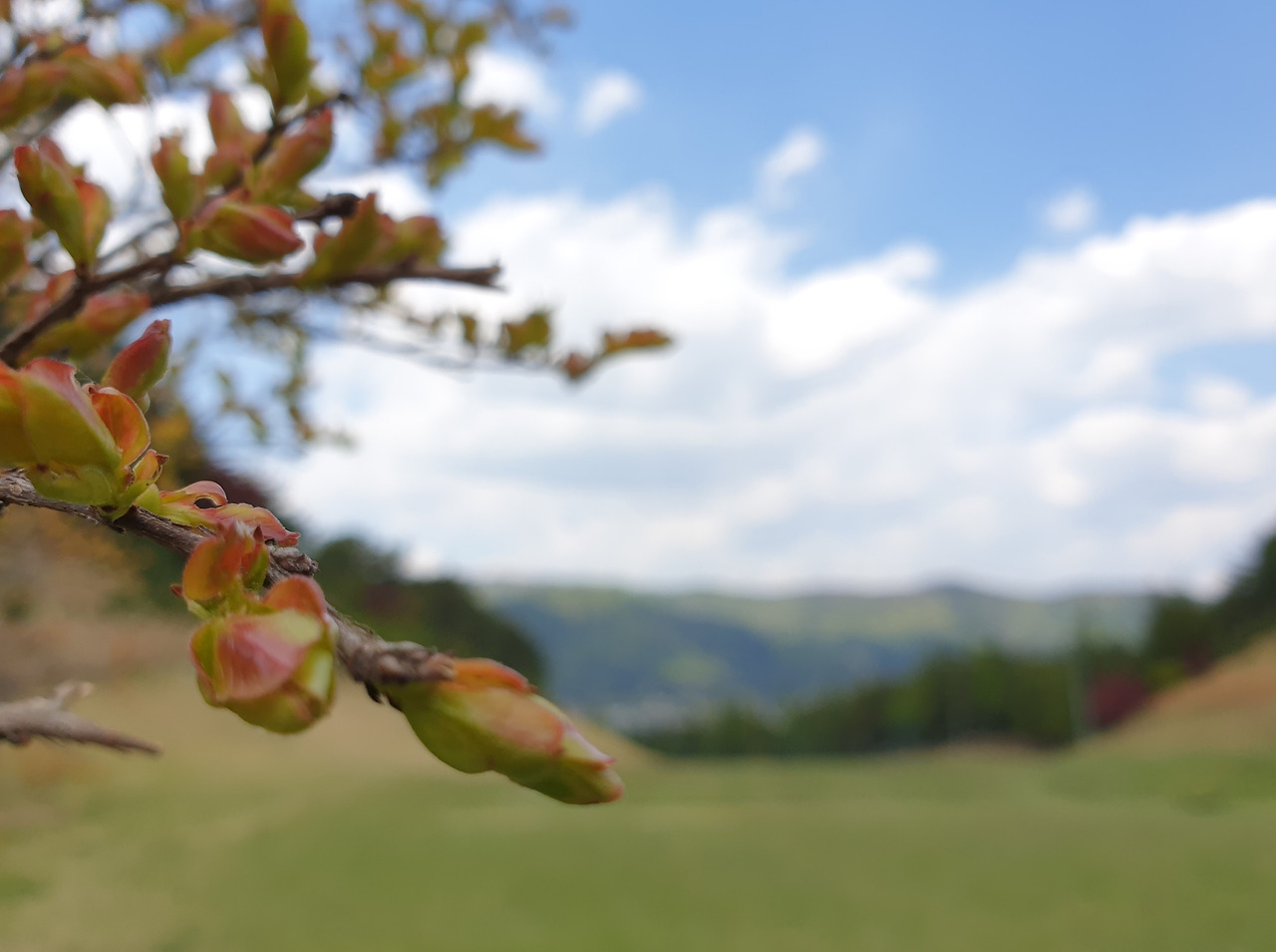 20200427_121857 (2).jpg