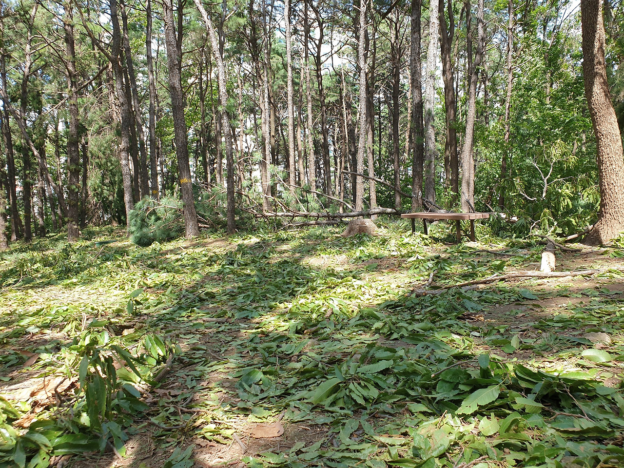 20200903_123930 (2).jpg