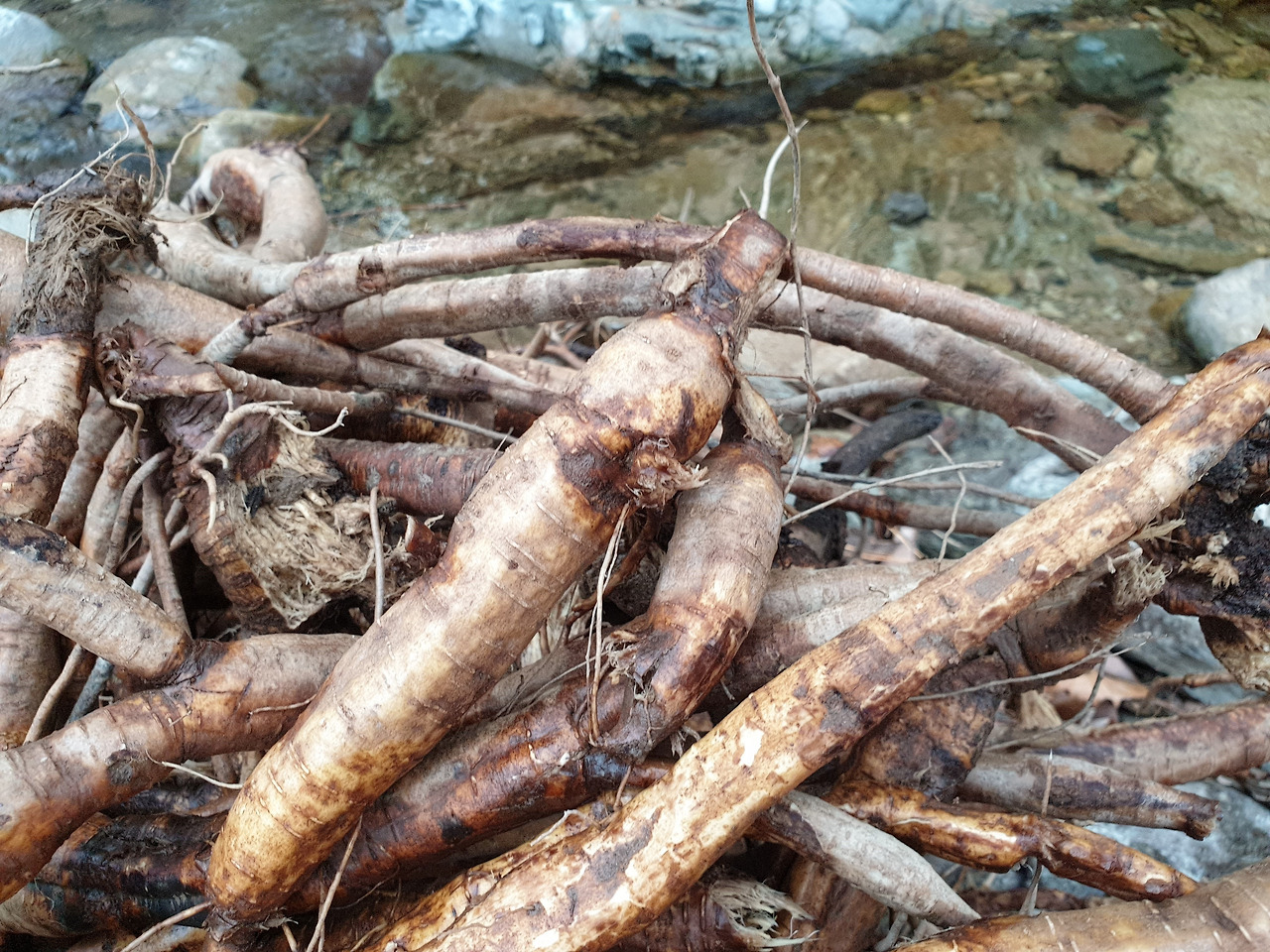 20200124_151202 (2).jpg