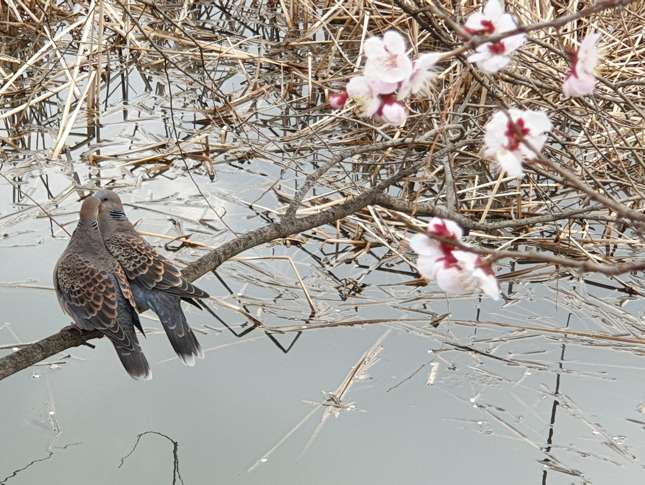 20200301_150742 (2).jpg