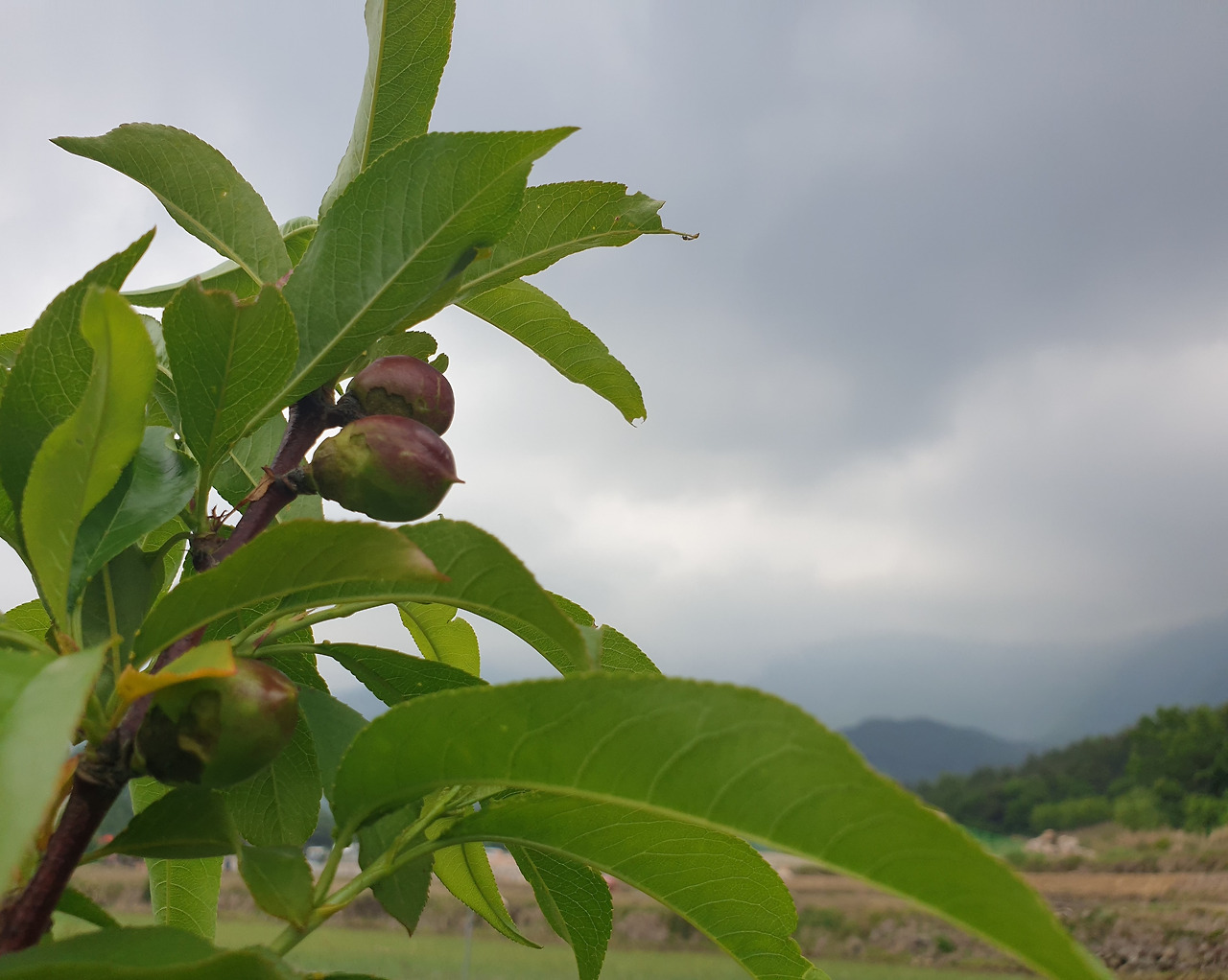 20200516_153444 (2).jpg