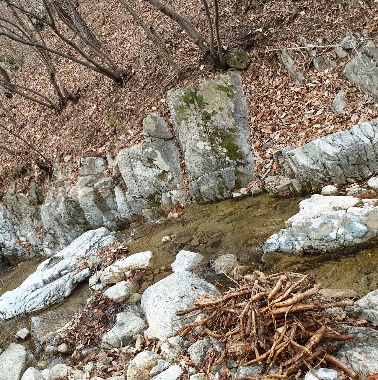 20200124_151414 (2).jpg