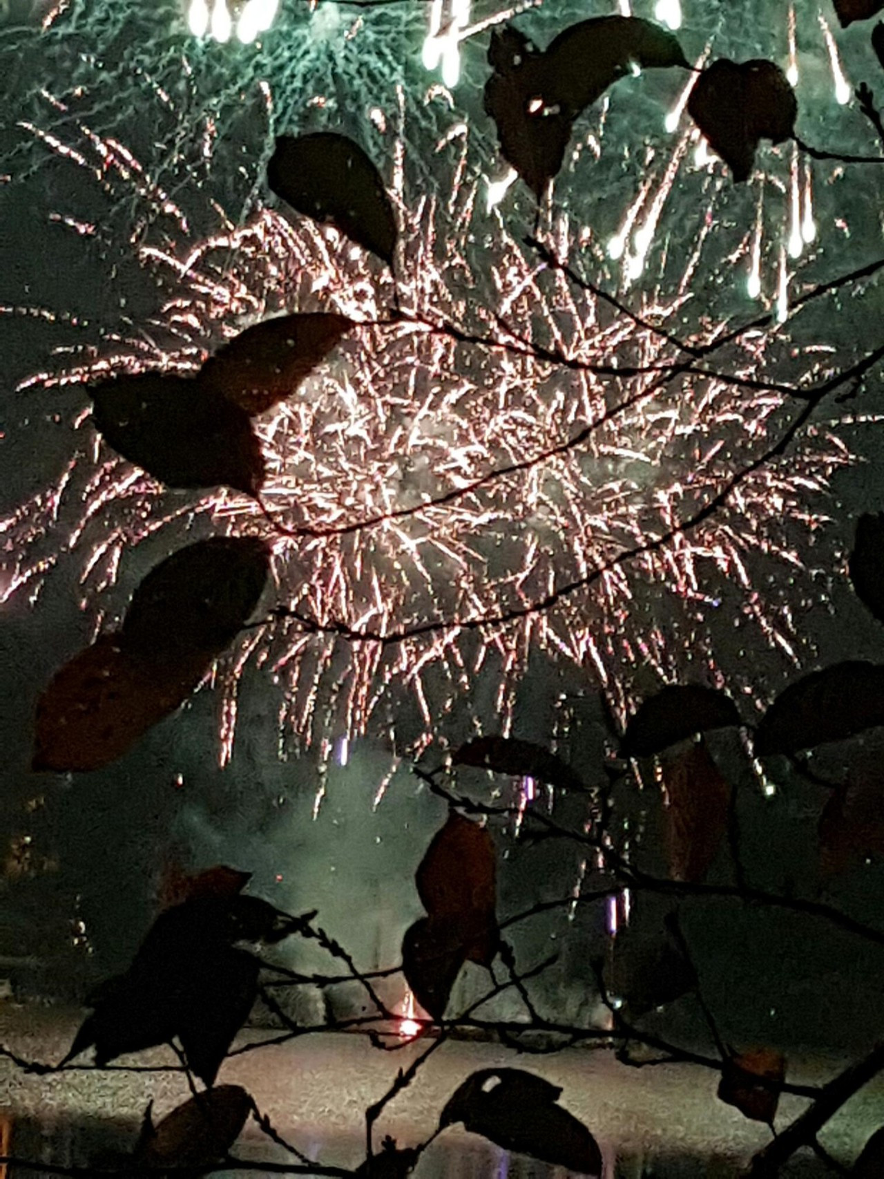 다운로드 (12).jpg