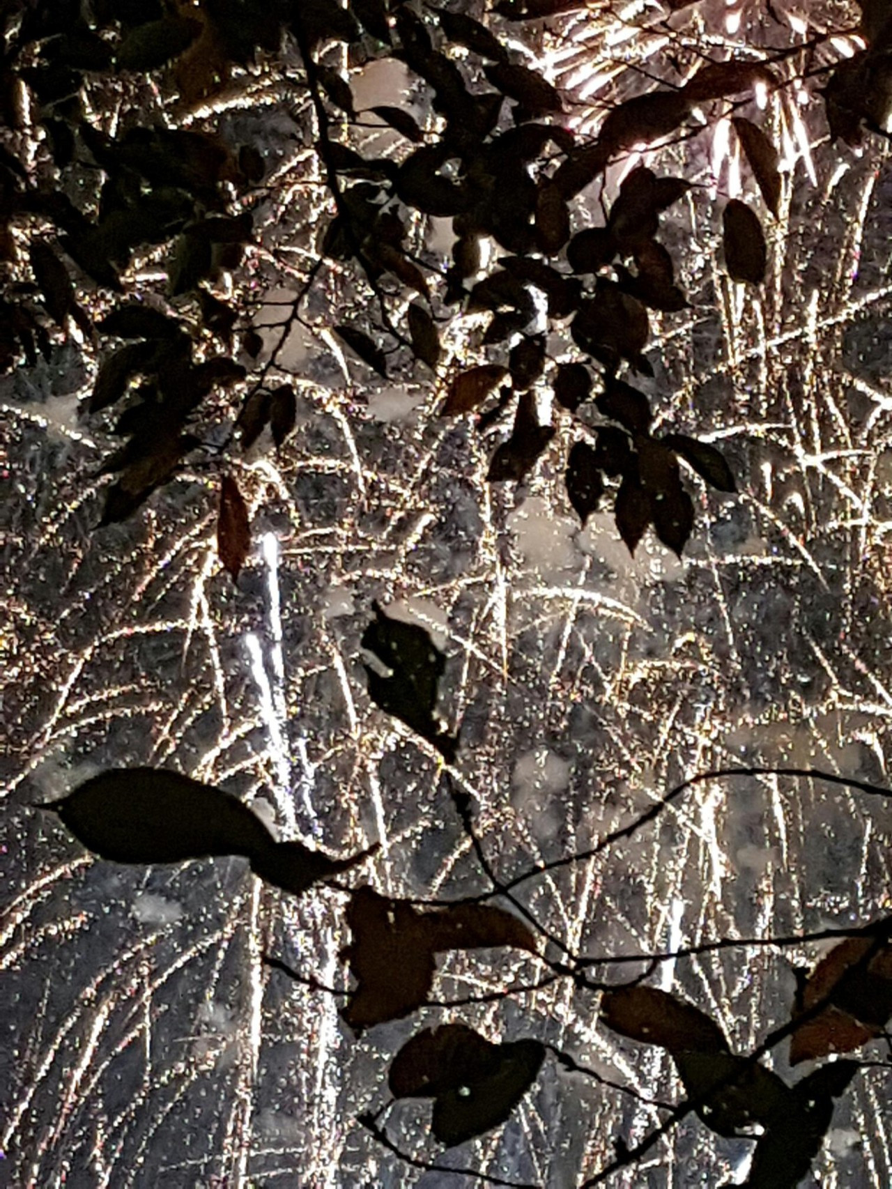 다운로드 (7).jpg