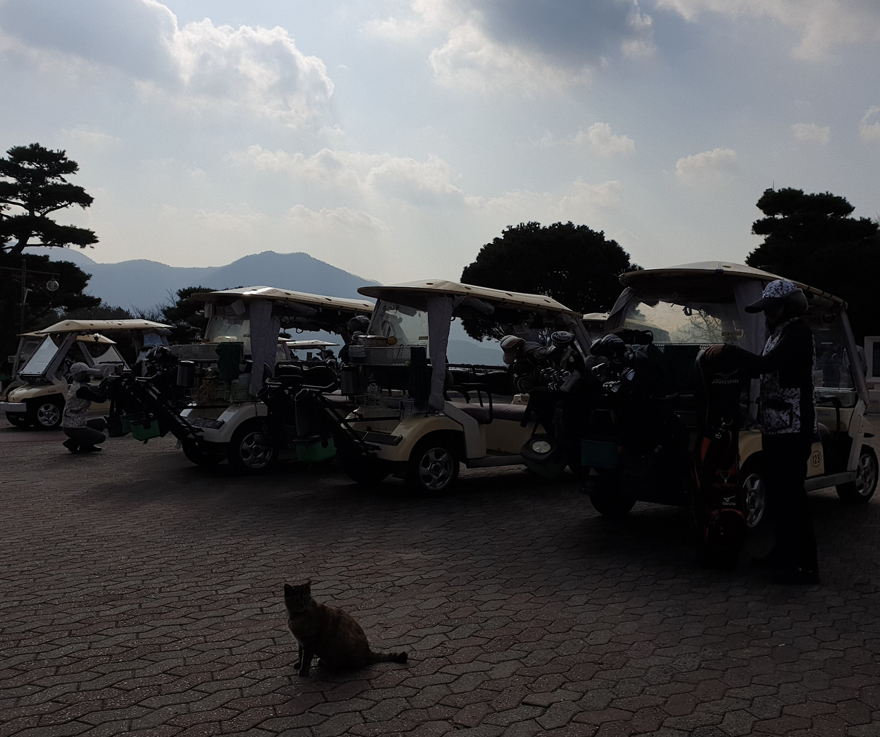 20191223_112534 (2).jpg