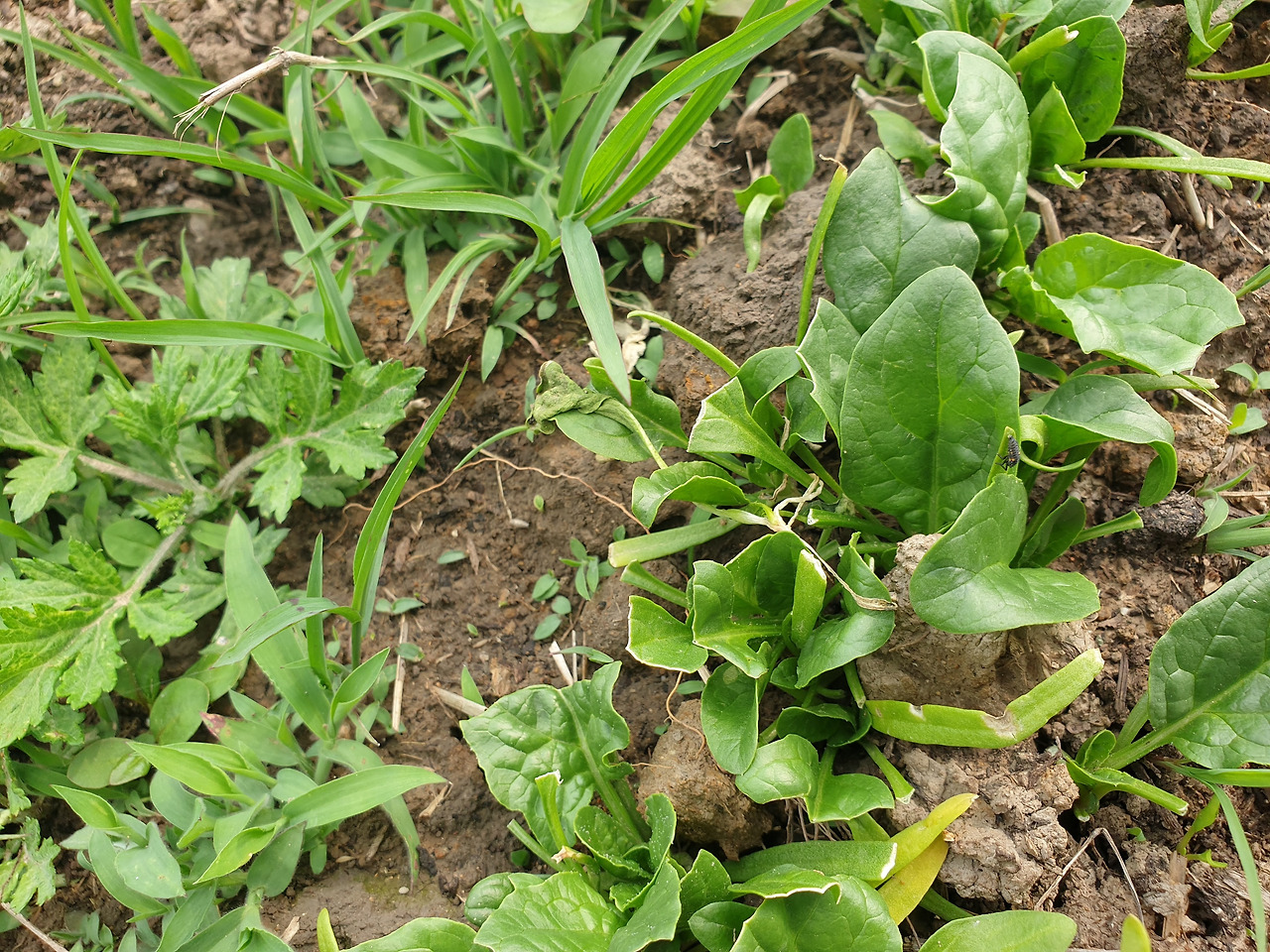 20200516_154316 (2).jpg