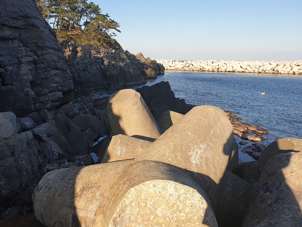 20191202_152930 (2).jpg