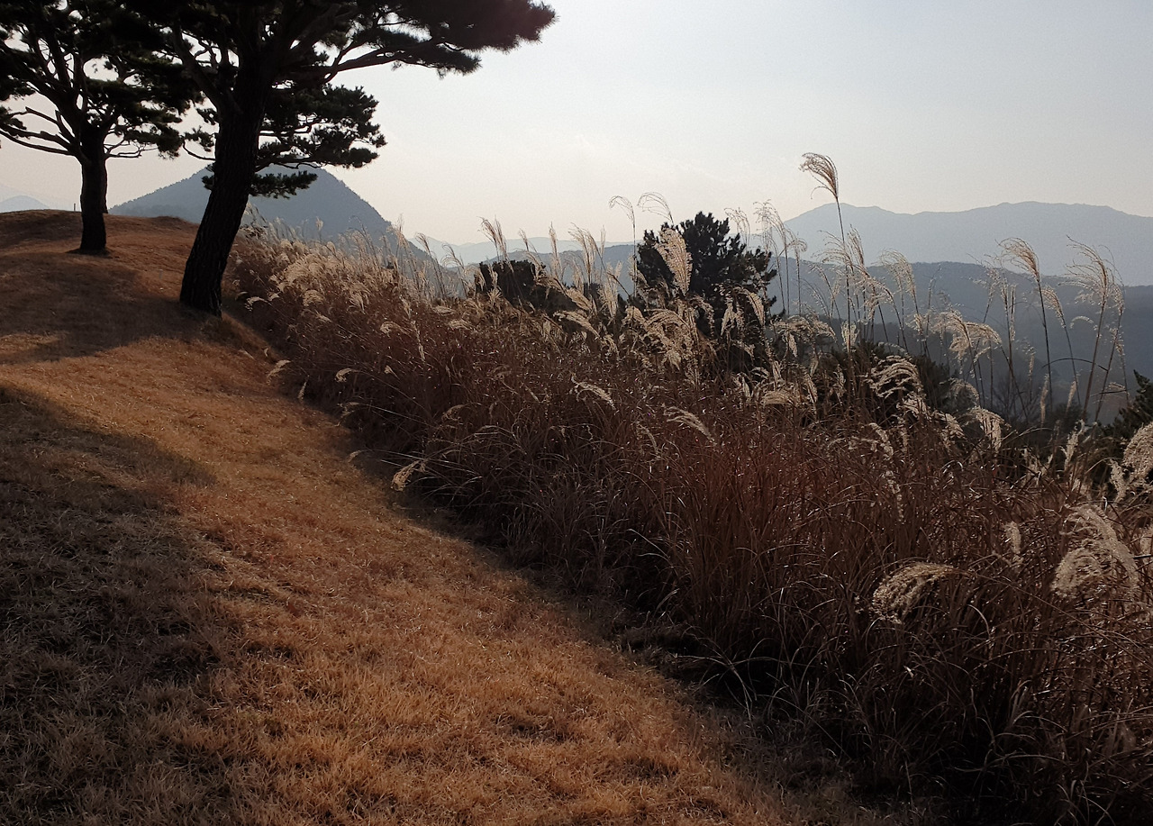 20191223_150917 (2).jpg