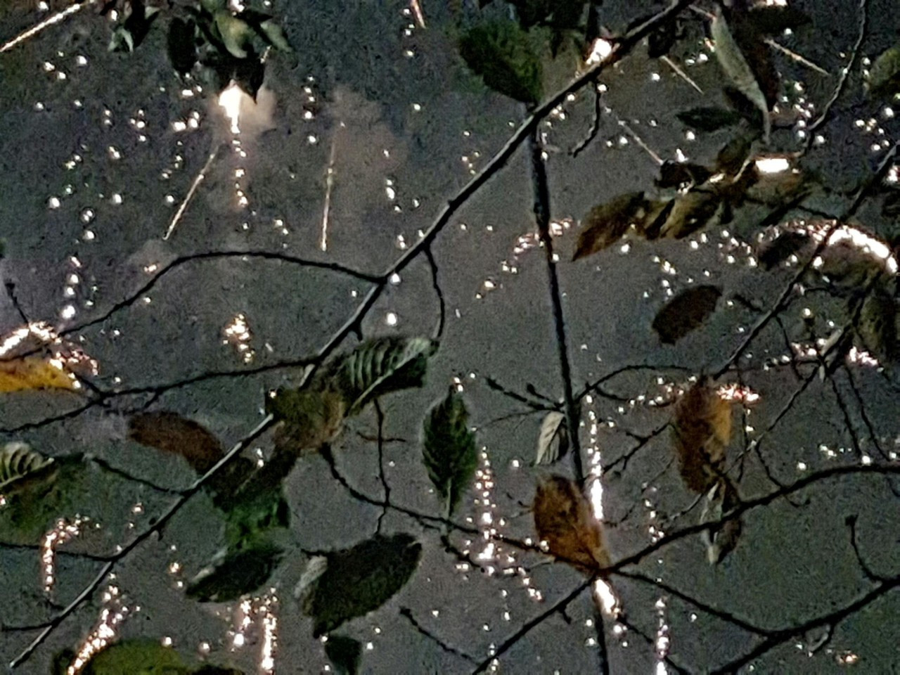 다운로드 (4).jpg