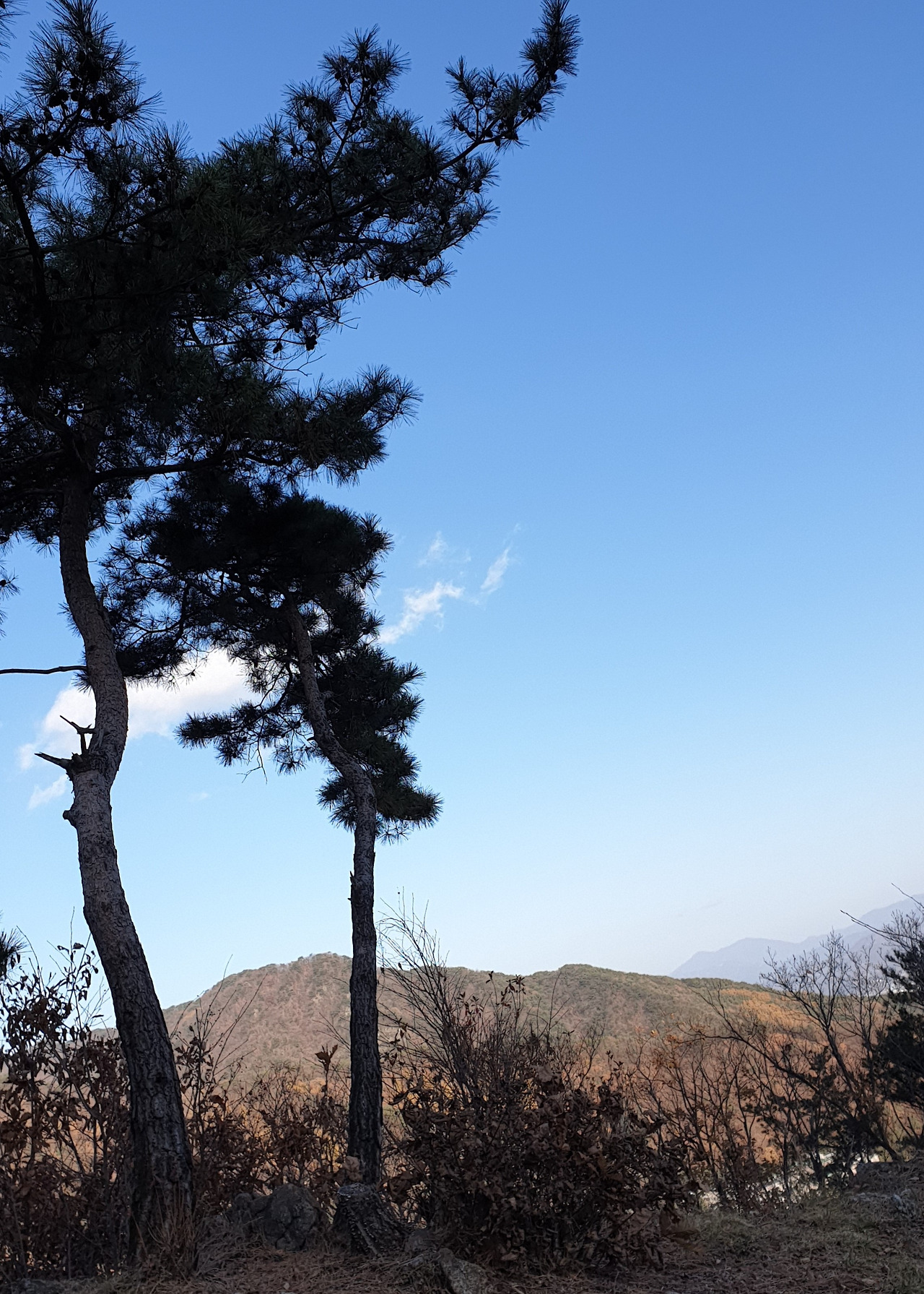 20191119_154456 (2).jpg