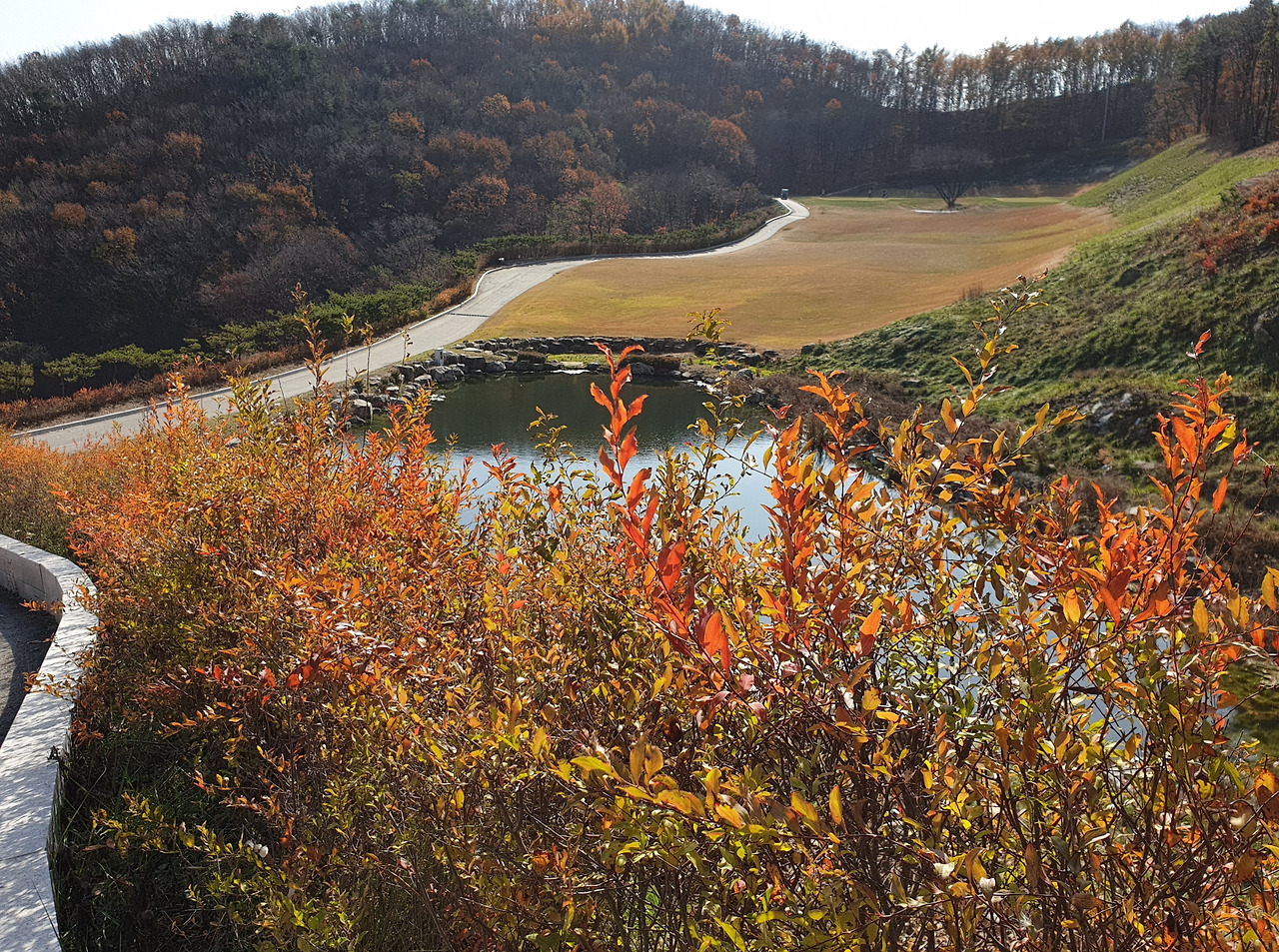 20191119_114944 (2).jpg