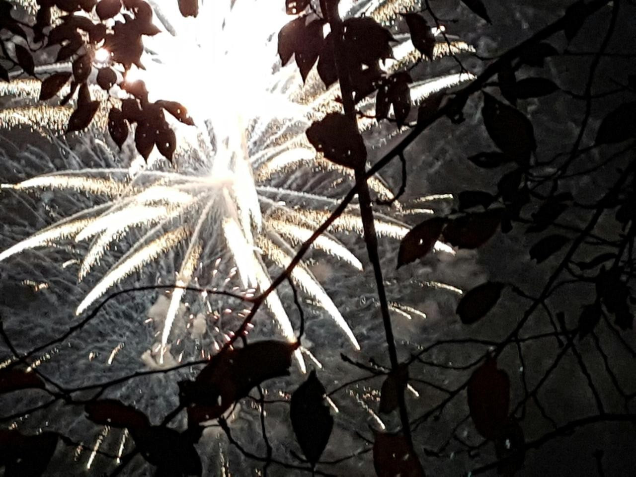 다운로드 (22).jpg