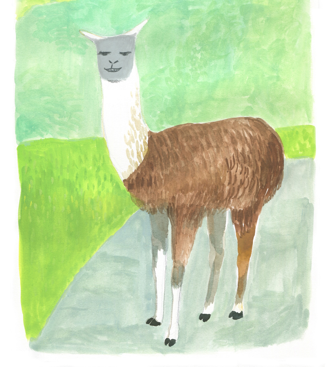 12_마추픽추 얼굴마담.jpg