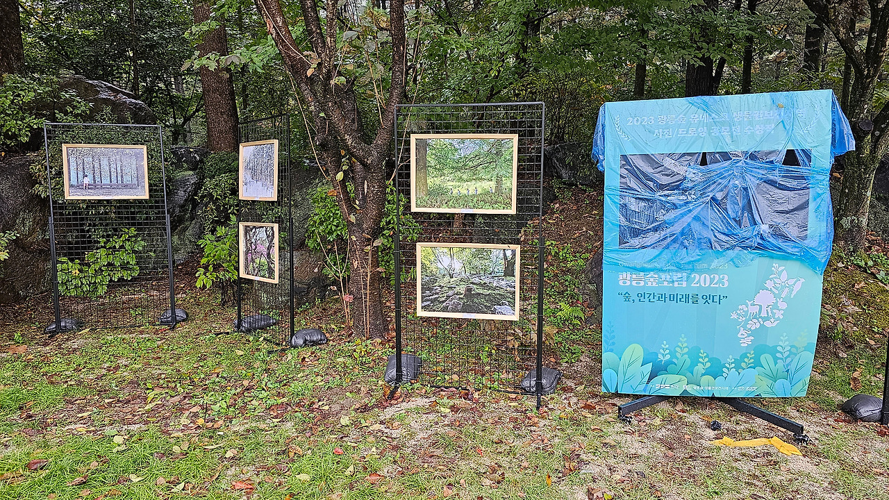 KakaoTalk_20231019_230328823_01 (1).jpg