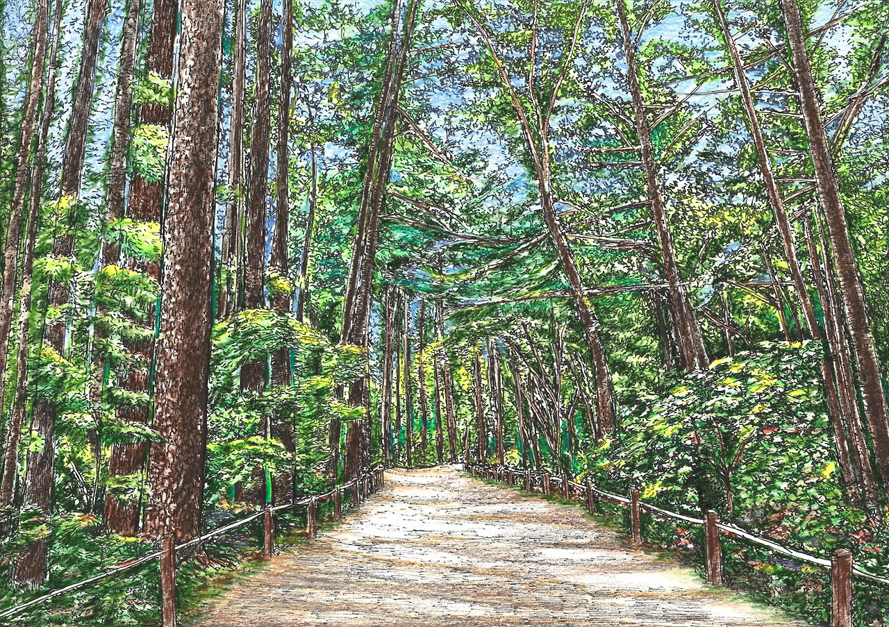 화면 캡처 2023-09-01 000829.jpg