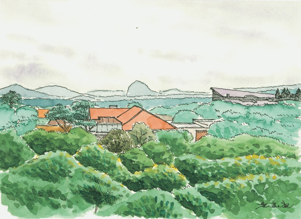 핑크스 비오토피아.jpg