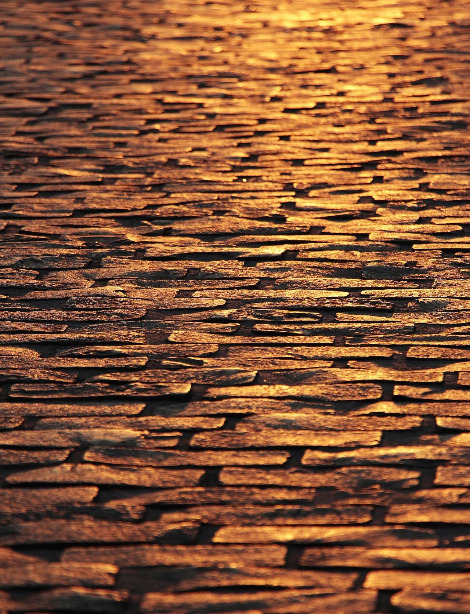 cobblestones-3755884_1920.jpg