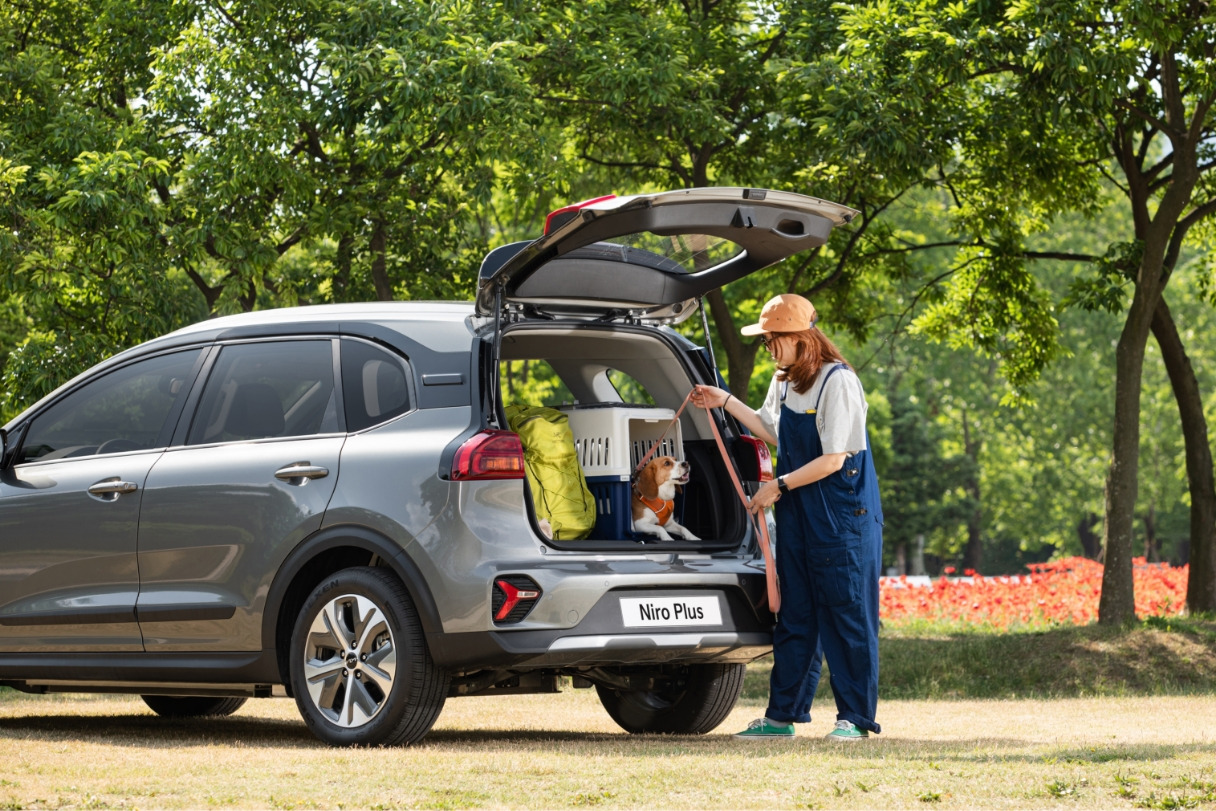 niro-plus-dogs006.jpg