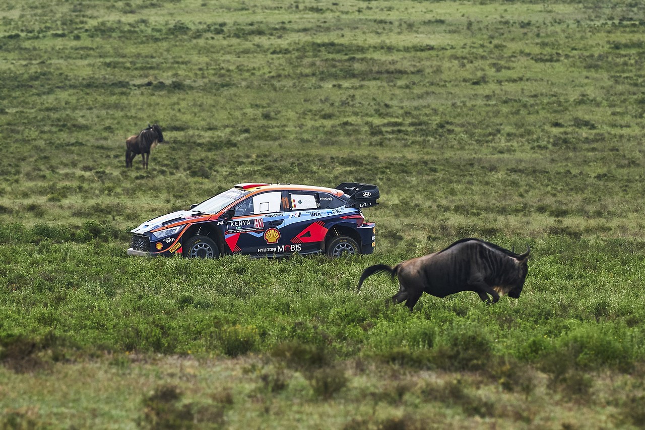 2023-wrc-7r-safari1.jpg
