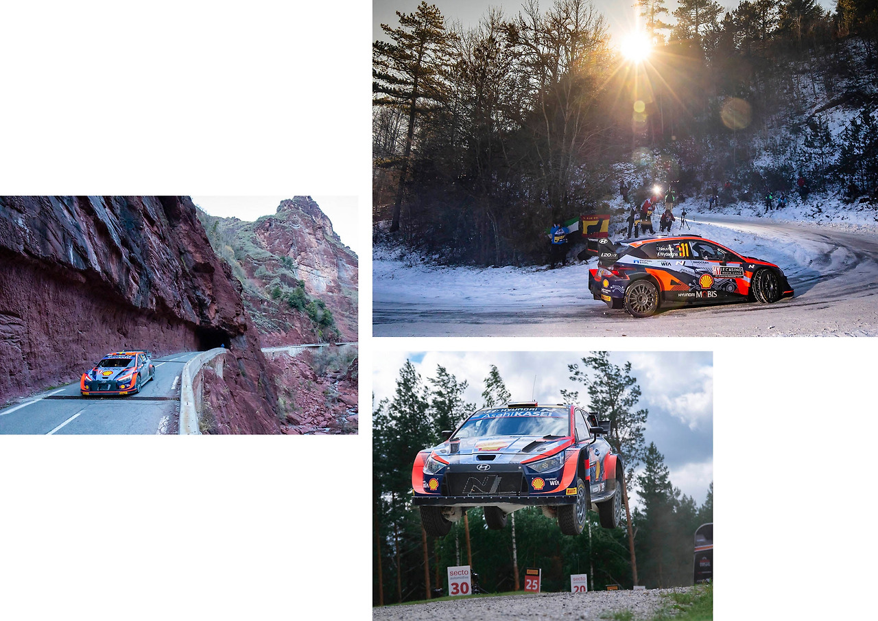 2023WRC_pedia_11.jpg