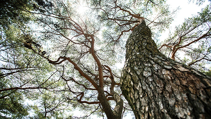 hyundai-ioniq-photoessay (6).jpg