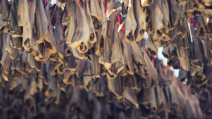 pyeongchang-ioniq-electric (11).jpg