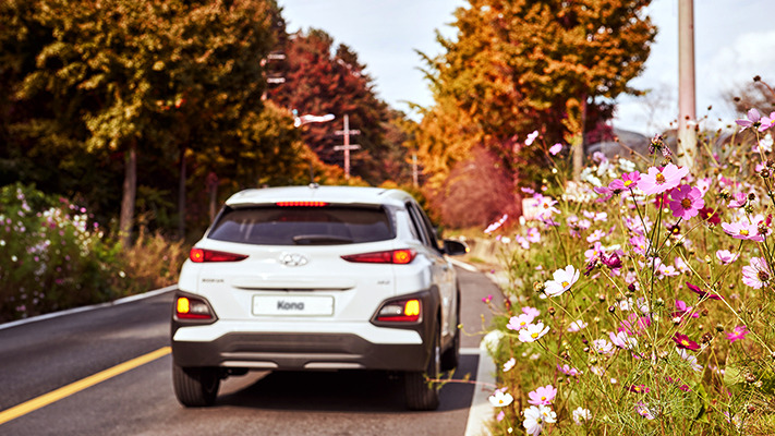 hyundai-autumn-drive (12).jpg