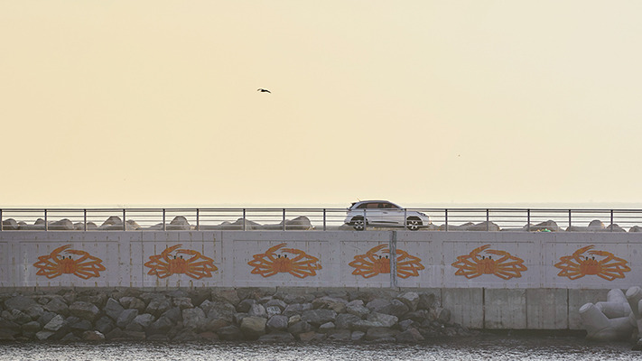 yeongdeok-niro-hybrid (14).jpg