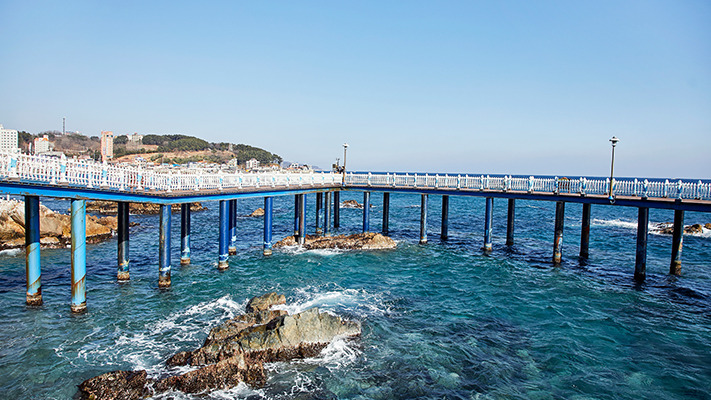 yeongdeok-niro-hybrid (23).jpg