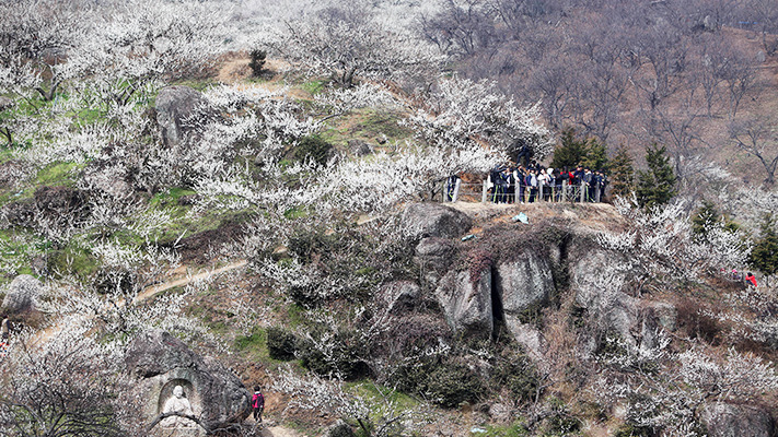 hyundai-spring-south (13).jpg