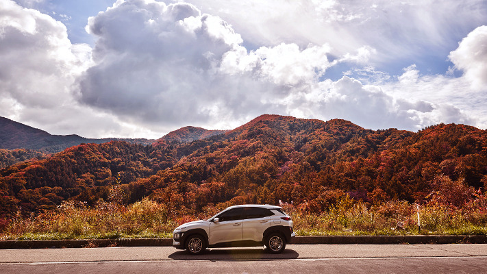 hyundai-autumn-drive (9).jpg