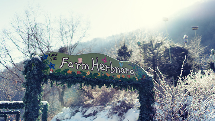 pyeongchang-ioniq-electric (9).jpg