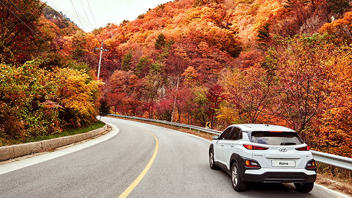 hyundai-autumn-drive (14).jpg