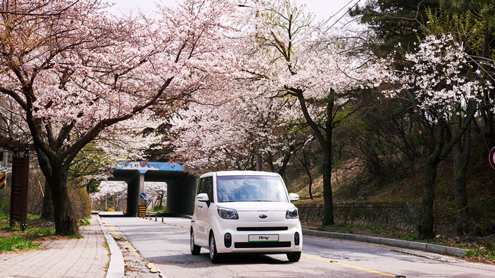 blossomy-cheongju-travel%20(7).jpg