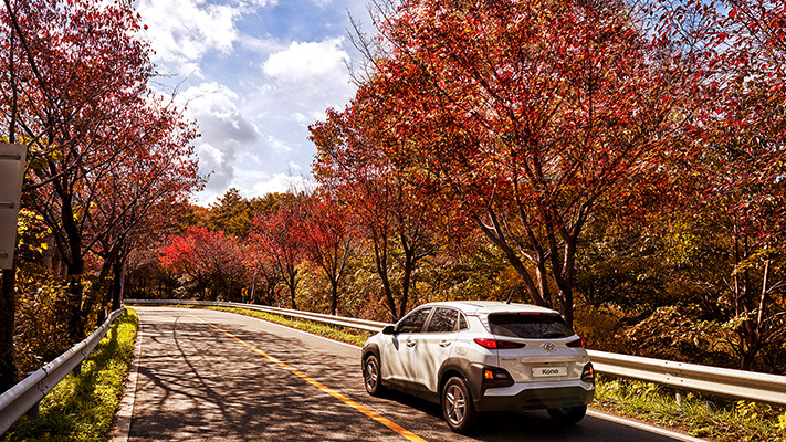hyundai-autumn-drive (8).jpg