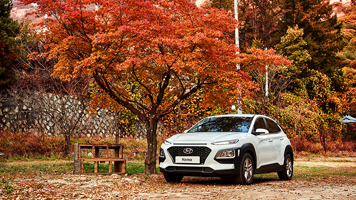 hyundai-autumn-drive (15).jpg
