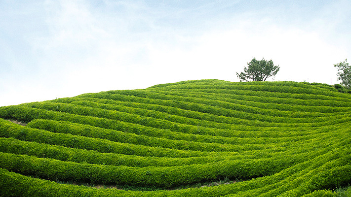 hyundai-ioniq-photoessay (11).jpg