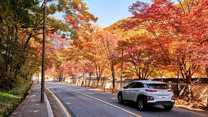 hyundai-autumn-drive (3).jpg