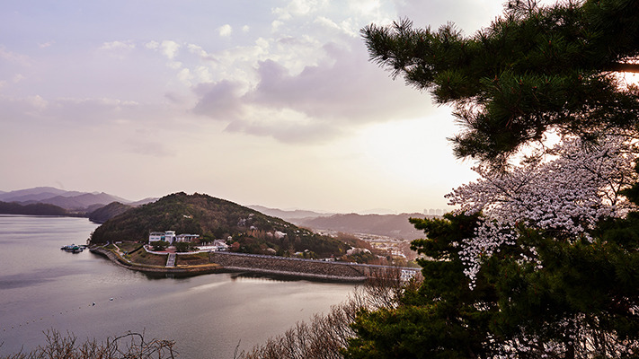 blossomy-cheongju-travel%20(15).jpg